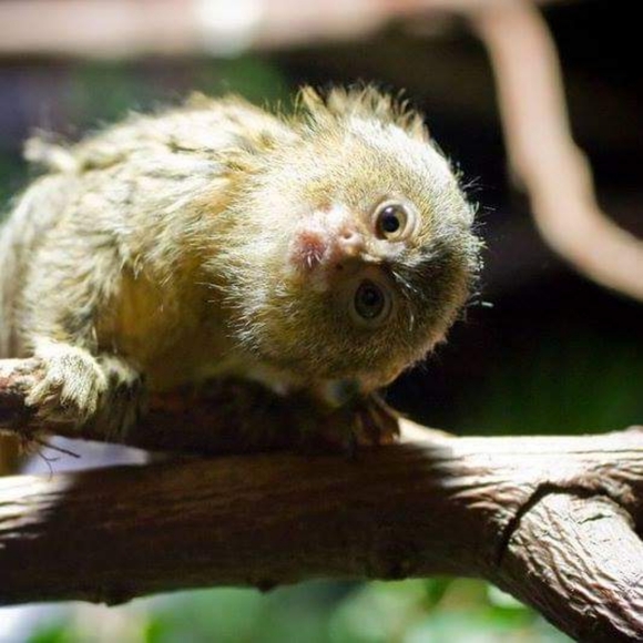 ABOUT ME - Picture 8 of 12